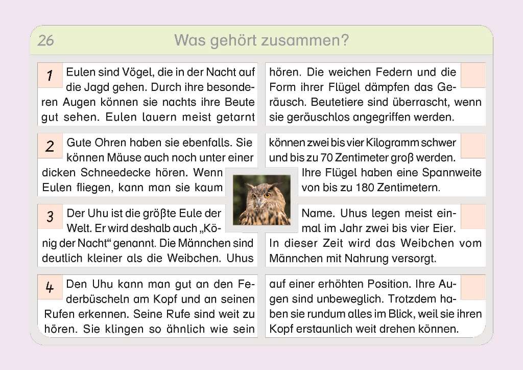 jandorfverlag KG Lies mal 7 Das Heft mit der Eule